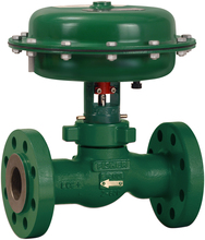 Fisher D3 FloPro Control Valve